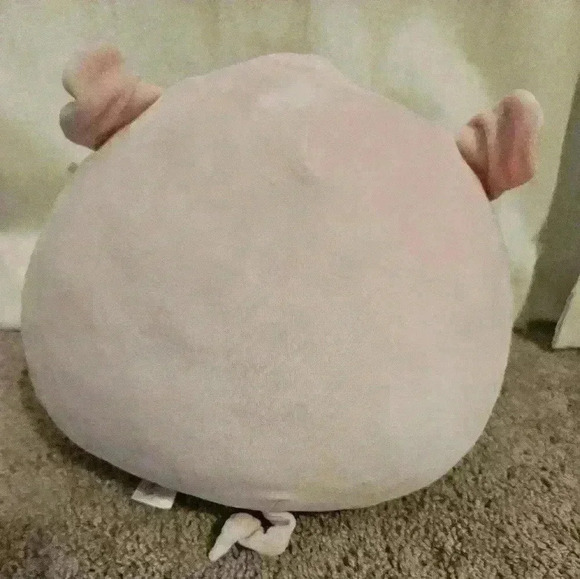 🌼Peter the Floral Belly Pig 4.5" Squishmallow Easter 2023 - Picture 3 of 4